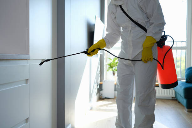 Best HVAC Mold Remediation in Manor, TX