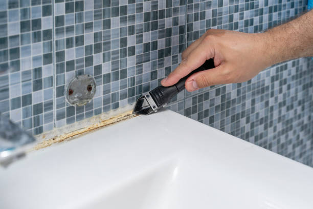  Manor, TX Mold Removal Pros