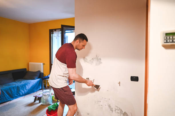 Best Emergency Mold Remediation in Manor, TX